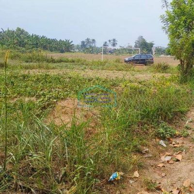 Dijual Lahan Luas Tanah 5 Ha di Daerah Cileles Tangerang