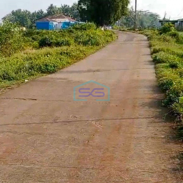 Dijual Tanah Luas 5 hektar lokasi di Daru Tigaraksa Tangerang-2