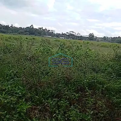 Dijual Tanah Lokasi Strategis Cocok Untuk Investasi Luas Tanah 110000m2 Cikande Serang