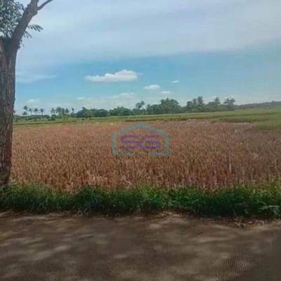 Dijual Tanah Lahan Kosong di Pasar Kemis Tangerang