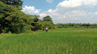 KAVLING DIJUAL DAERAH CIKANDE