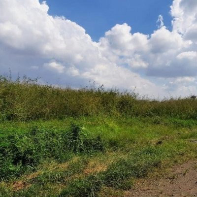 LAHAN DIJUAL DI LATUMENTEN