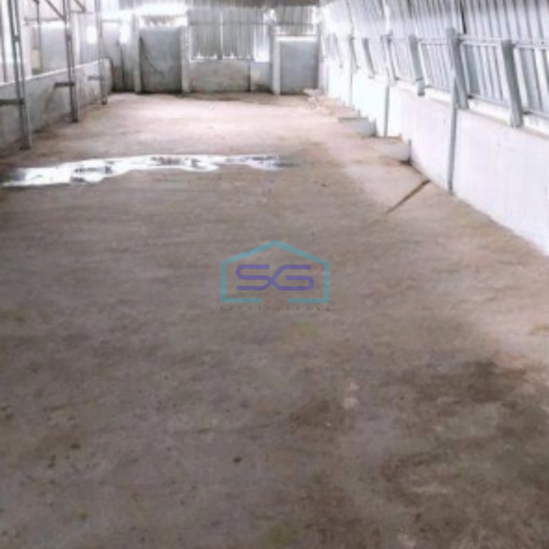 Disewakan Ruko Luas Bangunan  275 m² Lokasi Strategis di Banjarmasin Timur-1