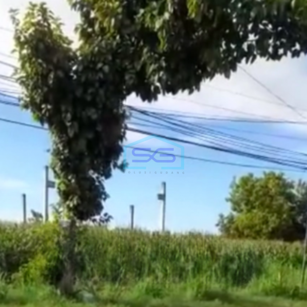 Dijual Tanah Luas 10210 m²  di Lamongan Jawa Timur-1