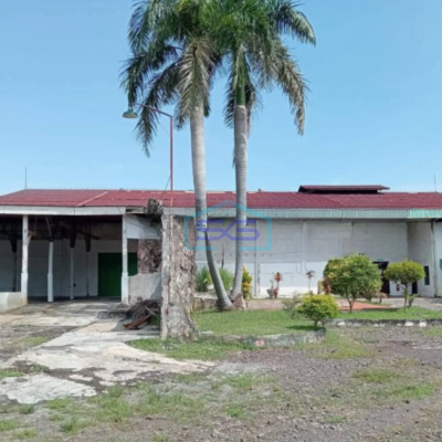 Dijual Tanah Luas 41335 m² Lokasi Probolinggo Jawa Timur