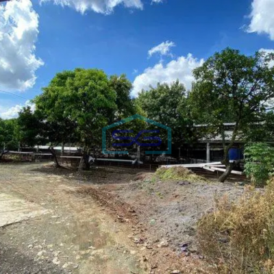 Dijual cepat Tanah Lahan buat usaha atau budidaya ternak