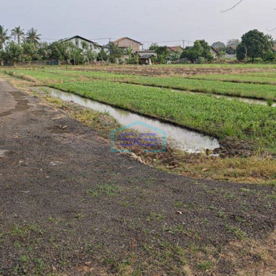 Dijual Tanah / Kavling 2.8 Hektar SHM di Pinggir Jalan Raya Kampung Melayu Teluk Naga Tangerang-2