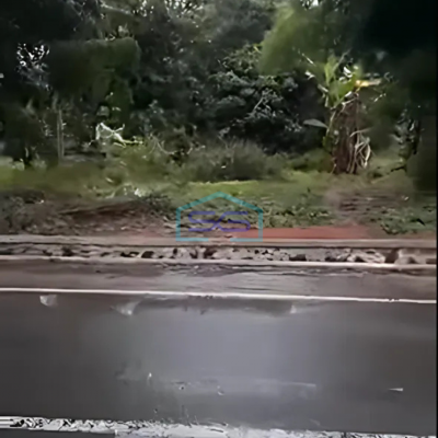 Dijual Kavling Tanah Strategis di Pinggir Jl. Raya Cipanas, Sajira, Lebak, Banten