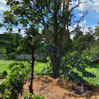 Dijual cepat Tanah Lahan Buat Usaha Atau Pabrik Pergudangan di Bogor LT 14757m2