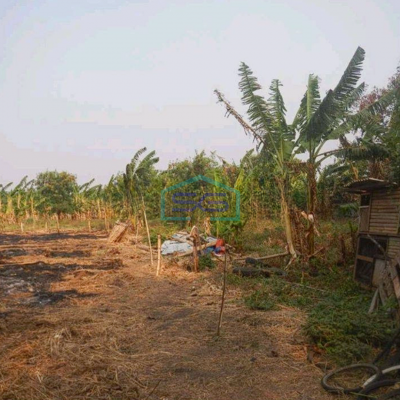 Dijual Tanah Kavling Di Pinggir Jalan Raya, Cengkareng Jakarta Barat LT 16600m2