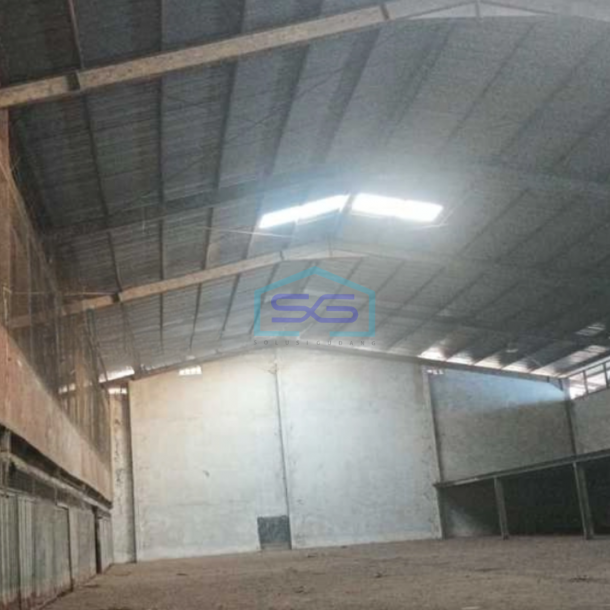 Disewakan Gudang Di Muara Karang Pluit Luas Tanah 1500 m²-1