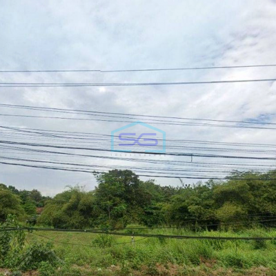 Dijual Tanah di Jalan Utama Cilengsi Jonggol Bogor LT 41000m2