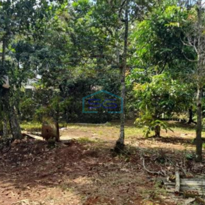 Dijual Tanah Luas 5070 m² Lokasi Bebas Banjir di Parung Bogor