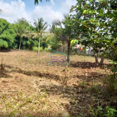 Dijual Tanah Luas  5070 m² Lokasi Bebas Banjir di Parung Bogor