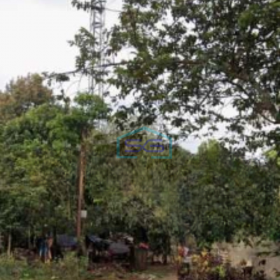 Dijual Tanah Industri Gudang Di Lokasi Strategis Ciseeng Parung Bogor Luas Tanah  2600 m²