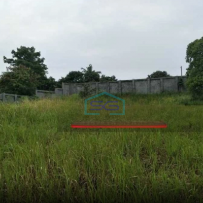 Dijual Tanah di Cilengang Serpong Tangerang Selatan Luas Tanah  10913 m²
