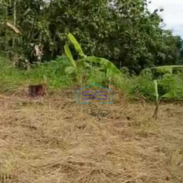Dijual Tanah Datar Lokasi Bagus di Cibogo Kab Tangerang Luas Tanah  4000 m²-2