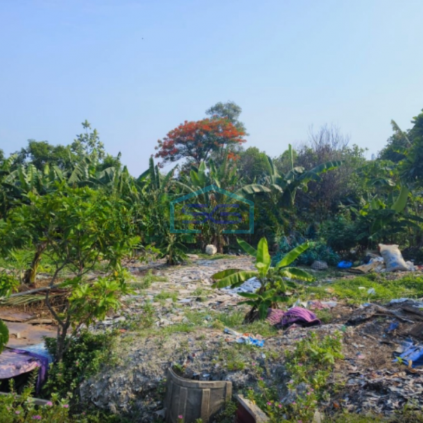 Disewakan Gudang di Daan mogot Tangerang Butuh Renovasi SHM LB 1000m2-3