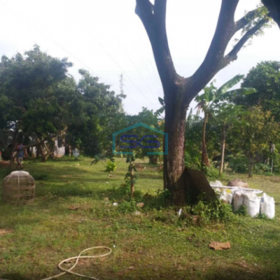 Dijual Tanah Kavling Luas Strategis Murah di Jl Kampung Pesar Binong Curug Tangerang LT 2000m2-3