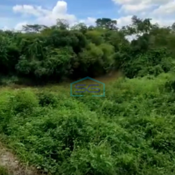 Dijual Cepat Tanah Kavling di Tigaraksa Tangerang Harga Terjangkau LT 1800m2-2