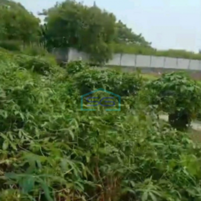 Dijual Tanah Kavling Luas 10000m2 Di Teluk Naga Tangerang Banten-3