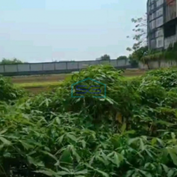 Dijual Tanah Kavling Luas 10000m2 Di Teluk Naga Tangerang Banten-2