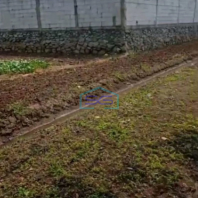 Dijual Tanah Kavling Luas 10000m2 Di Teluk Naga Tangerang Banten