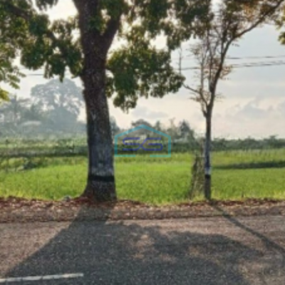 Dijual Tanah SHM Luas 8530m² Area Strategis di Baturaden Banyumas