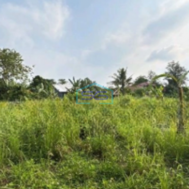Dijual Tanah Kavling Di Balaraja Pasir Muncang Kabupaten Tangerang LT 5000m2-2
