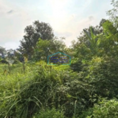 Dijual Tanah Kavling Di Balaraja Pasir Muncang Kabupaten Tangerang LT 5000m2