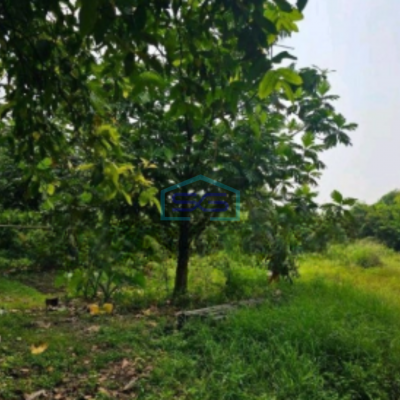 Disewakan Tanah Kavling Luas Di Cipondoh Tangerang Banten LT 7200m2-3