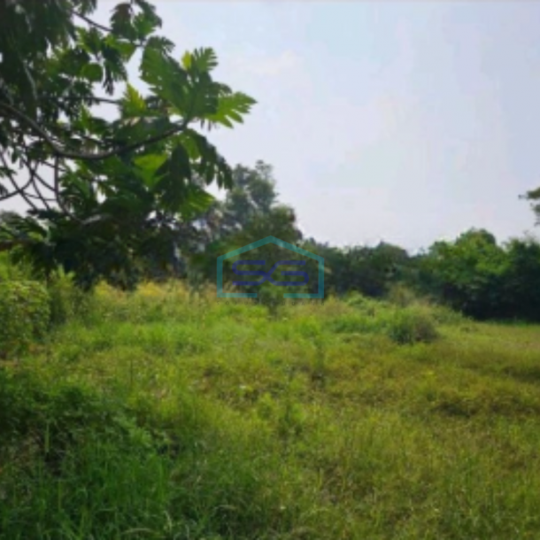 Disewakan Tanah Kavling Luas Di Cipondoh Tangerang Banten LT 7200m2-1