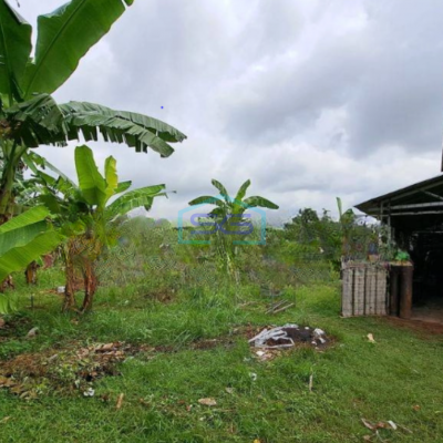 Dijual Tanah dan Bangunan Luas Tanah 2972 m² di Sepatan Timur Tangerang