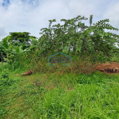 Dijual Tanah dan Bangunan Luas Tanah 2972 m² di Sepatan Timur Tangerang