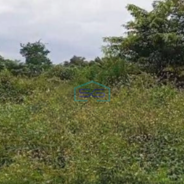 Dijual Tanah Murah Luas 65000 m² di Legok Tangerang-2
