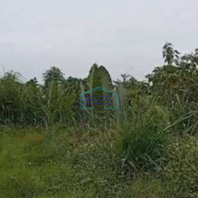 Dijual Tanah Murah Luas 65000 m² di Legok Tangerang