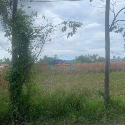 Dijual Tanah Untuk Daerah Industri dan Pergudangan Pakuhaji Tangerang