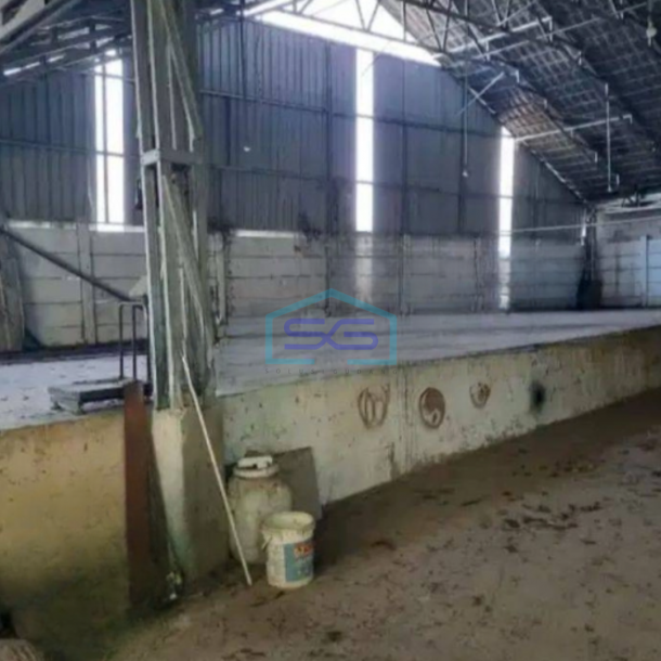 Disewakan Gudang Siap Pakai 1 Lantai Luas Bangunan 700 m² di Cipondoh Tangerang-1