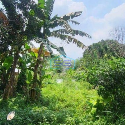 Dijual Tanah di Bogor Cocok untuk Perumahan LT 17702m2