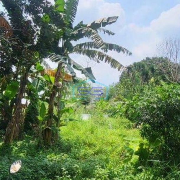 Dijual Tanah di Bogor Cocok untuk Perumahan LT 17702m2-1