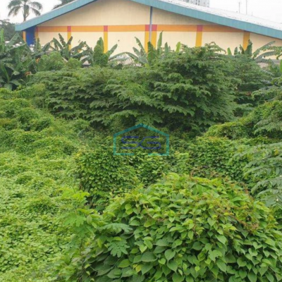 Dijual Tanah Luas 6,2 hektar di Pinggir Jalan Raya Daan mogot Jakarta Barat