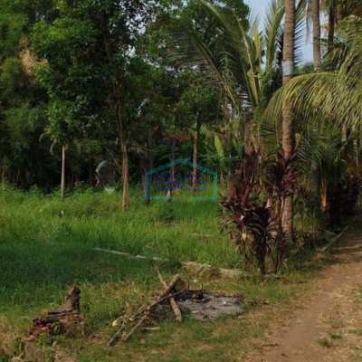 Dijual Tanah di daerah Ciputat Pamulang Tangerang Selatan LT 8000m2