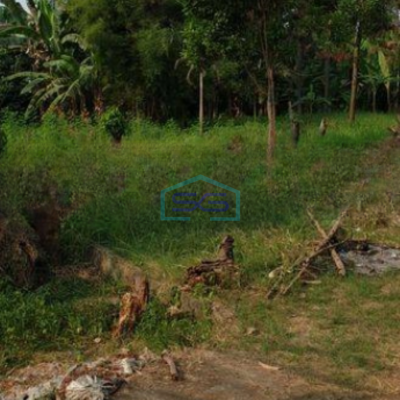 Dijual Tanah di daerah Ciputat Pamulang Tangerang Selatan LT 8000m2