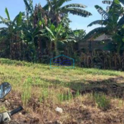 Dijual Tanah Lokasi Bebas Banjir Luas 8800 m² di Gunung Sindur Bogor