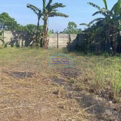 Dijual Tanah Lokasi Bebas Banjir Luas 8800 m² di Gunung Sindur Bogor