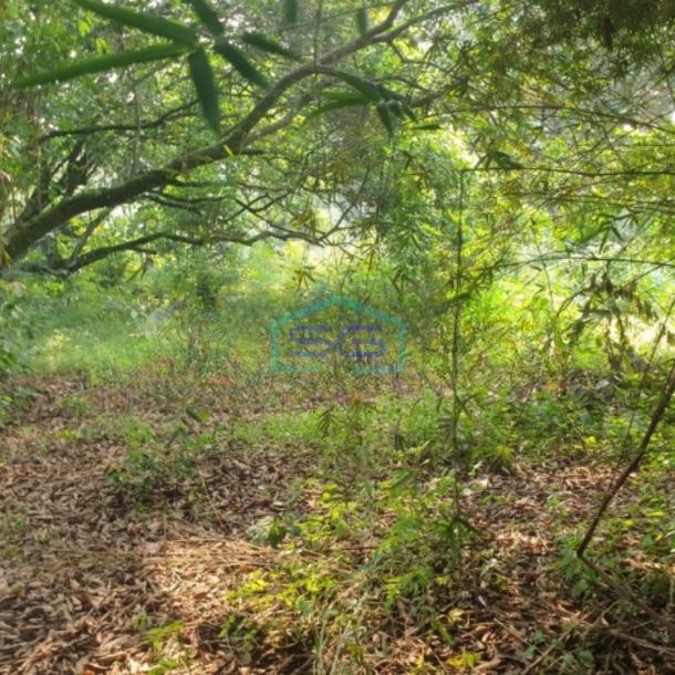 Dijual Tanah Luas  80000 m²  Lokasi Parung Bogor-1