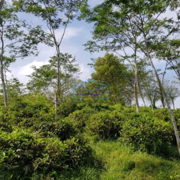 Dijual Tanah Luas 260000 m² Lokasi Cianjur Jawa Barat-1