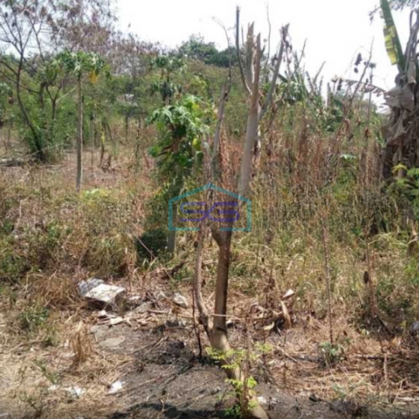 Dijual Pabrik Akses Container 40 Feet Luas Tanah 23936 m2 Lokasi Narogong Bekasi-3