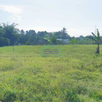 Dijual Tanah Luas 9765 m²  Lokasi Gunung Sindur Bogor