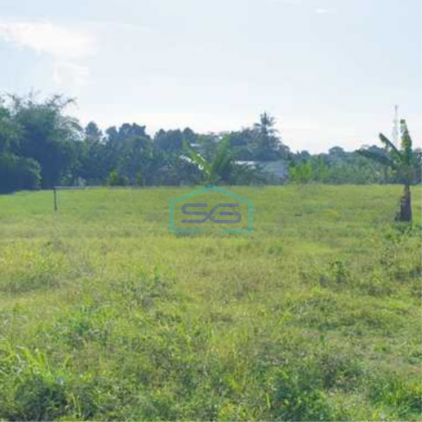 Dijual Tanah Luas 9765 m²  Lokasi Gunung Sindur Bogor-1
